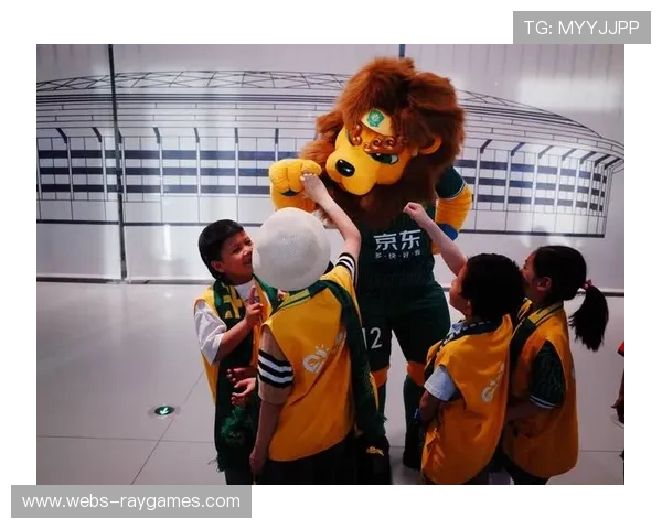 德甲20球场新增无障碍设施 关爱残疾球迷体验 德甲20球场新增无障碍设施 关爱残疾球迷体验